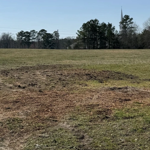 Land Clearing v