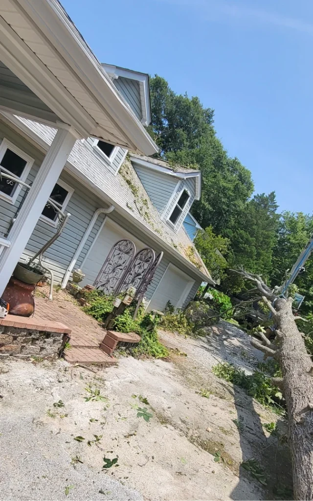 StormDamage ClimbingCarolinaTreeService 26