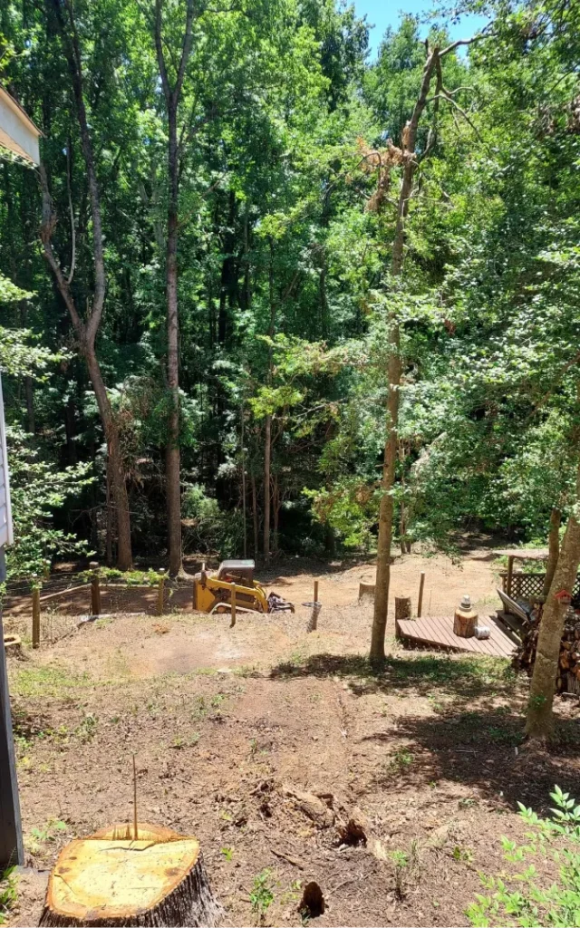 StormDamage ClimbingCarolinaTreeService 28