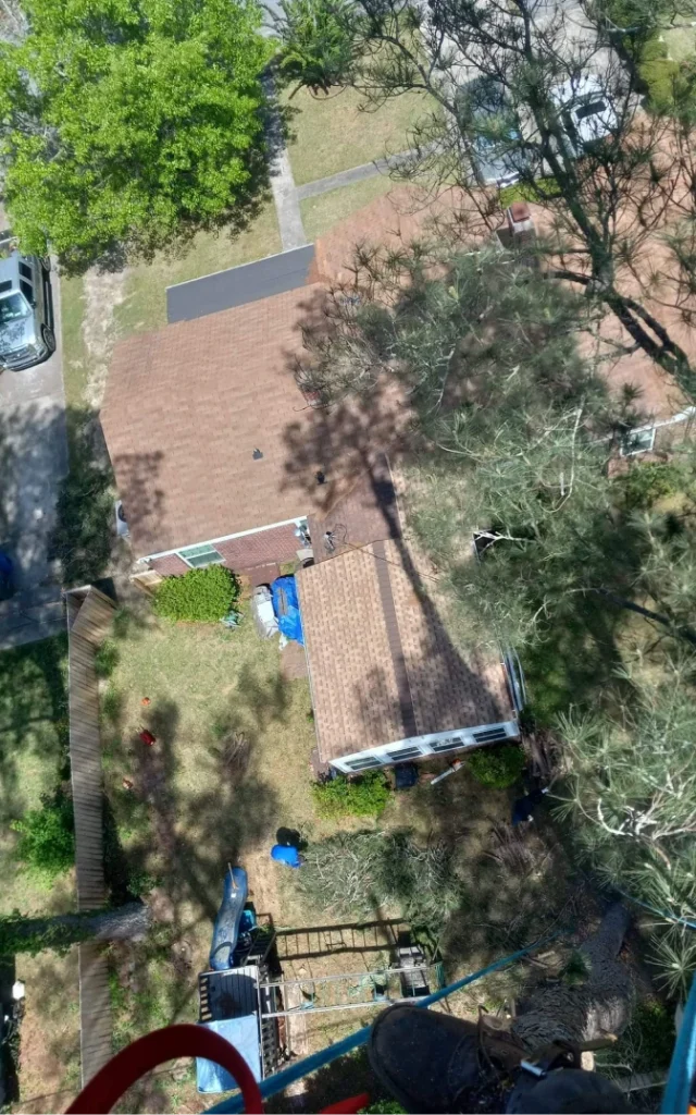 StormDamage ClimbingCarolinaTreeService 30
