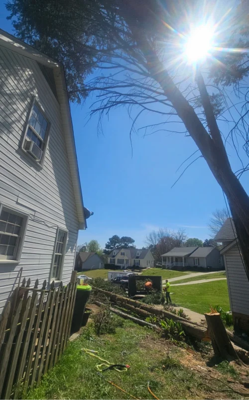 StormDamage ClimbingCarolinaTreeService 31