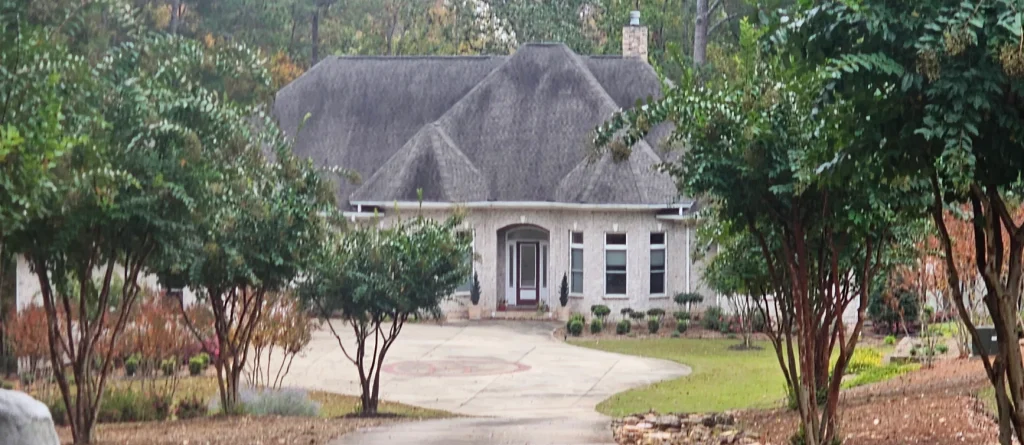 Tree Removal Lexington, SC 1