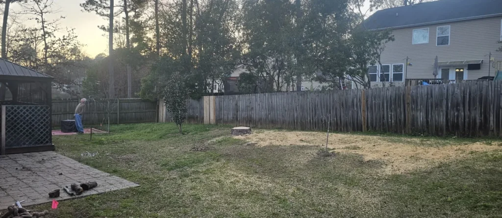 Tree Removal Lexington, SC 10
