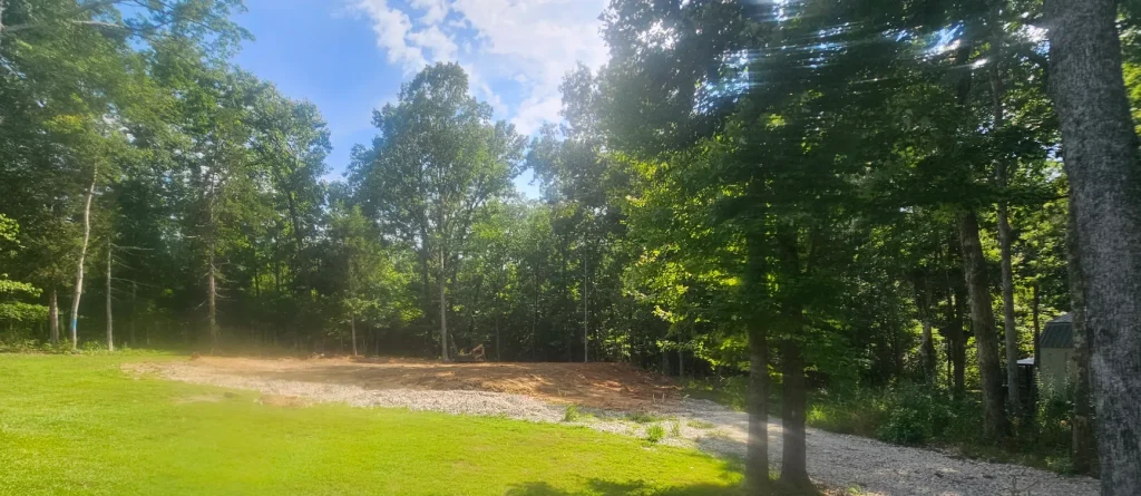 Tree Removal Lexington, SC 13
