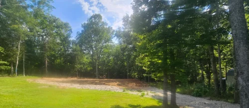 Tree Removal Lexington, SC 13