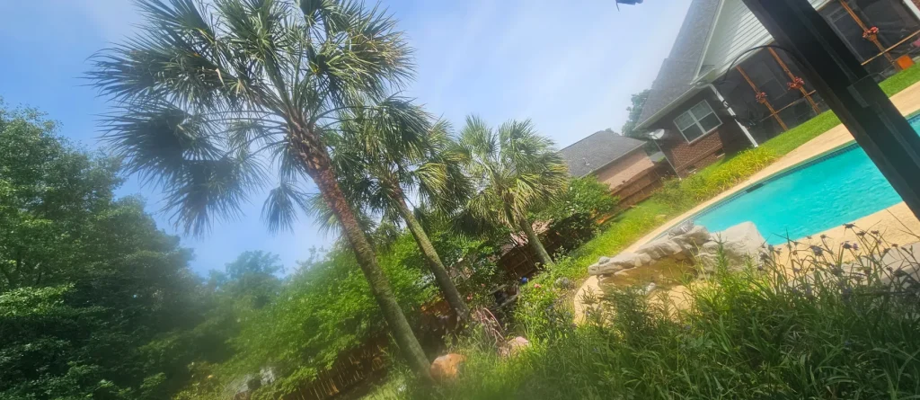 Tree Removal Lexington, SC 16