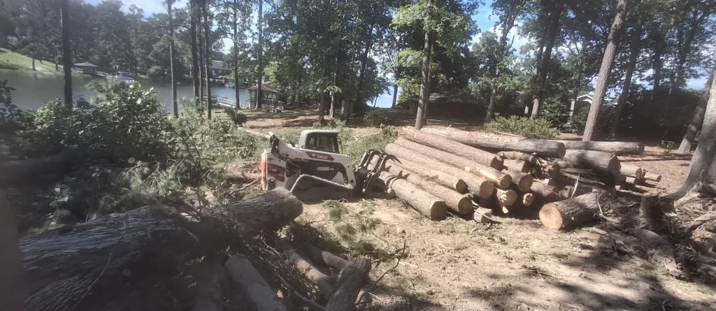 Tree Removal Lexington, SC 19