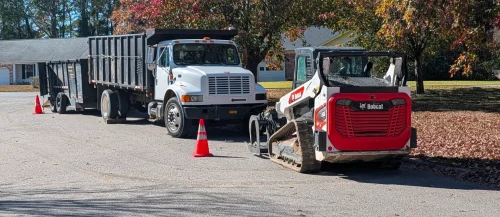 Tree Removal Lexington, SC 21