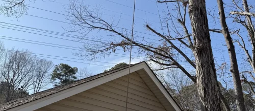 Tree Removal Lexington, SC 22