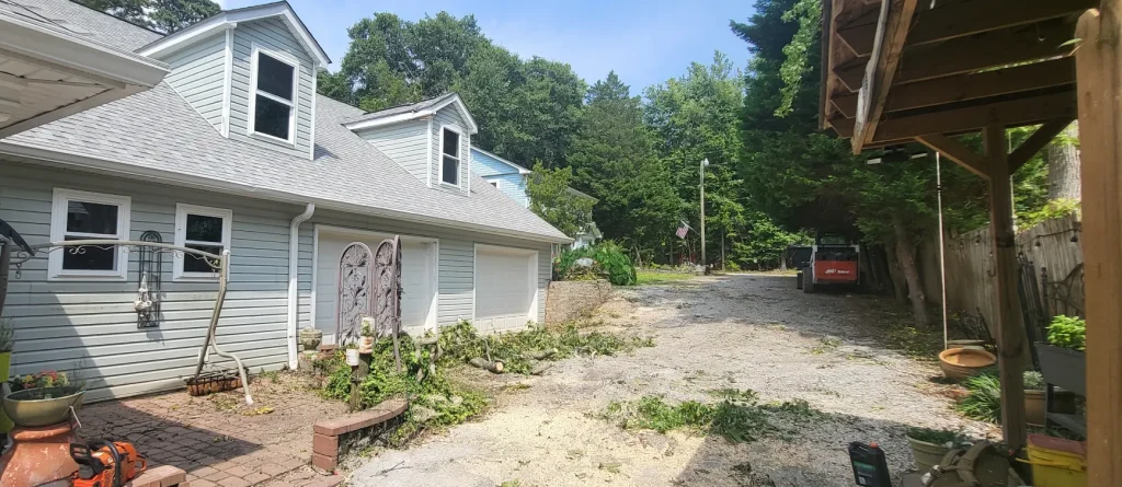 Tree Removal Lexington, SC 28