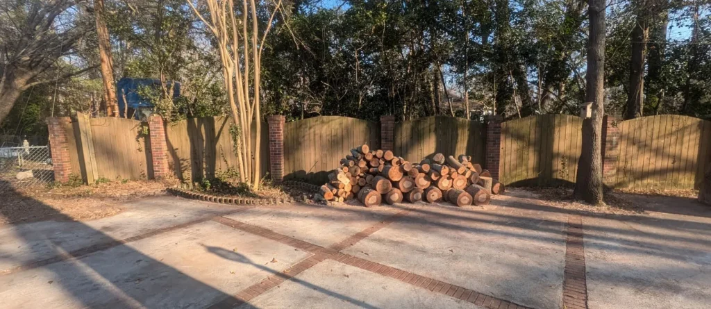Tree Removal Lexington, SC 5