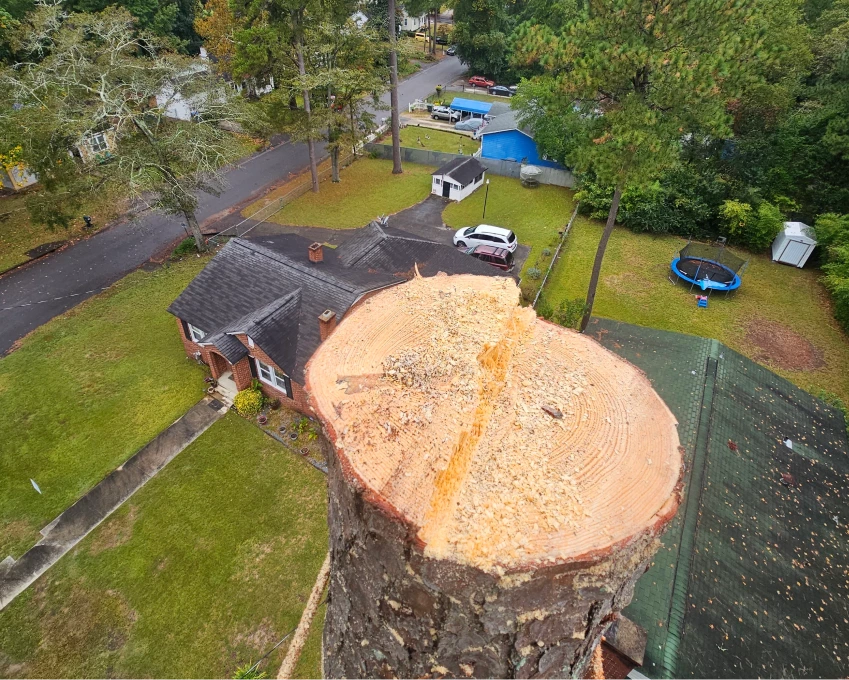 home inspection services